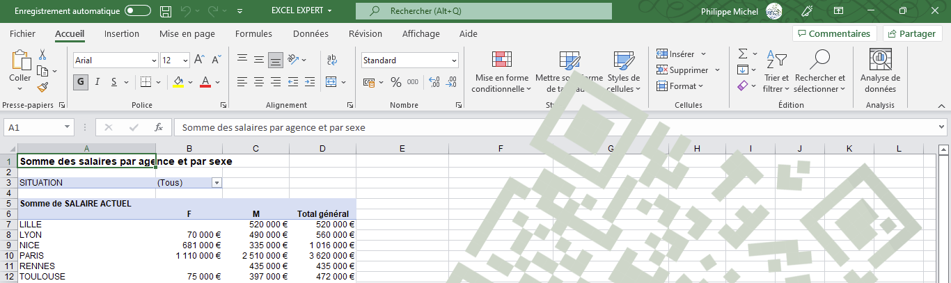 Bureautique Excel Expert Num nat